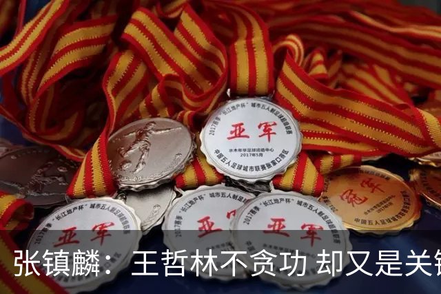 张镇麟：王哲林不贪功 却又是关键时刻能站出来的人 队长当之无愧