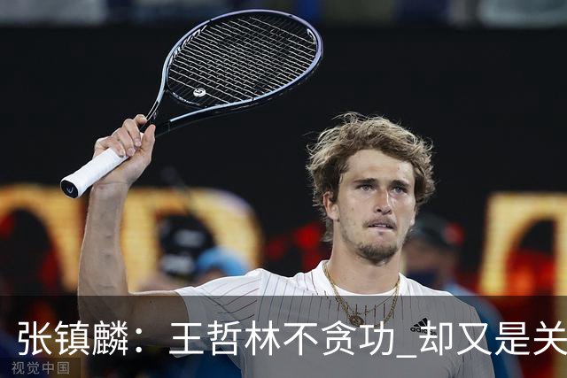 张镇麟：王哲林不贪功 却又是关键时刻能站出来的人 队长当之无愧